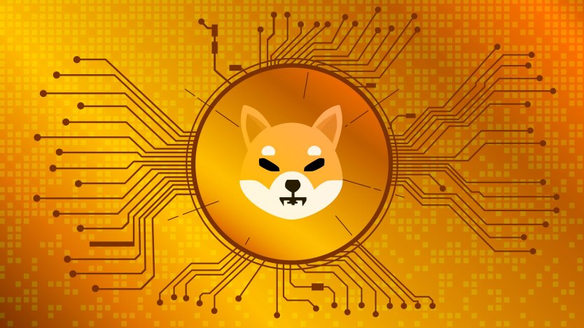 Illustration of shiba inu coin on a gold background